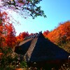 最期の紅葉