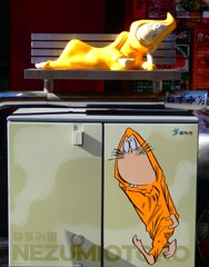 帰ってまいりました！