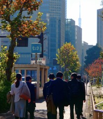 東京タワー