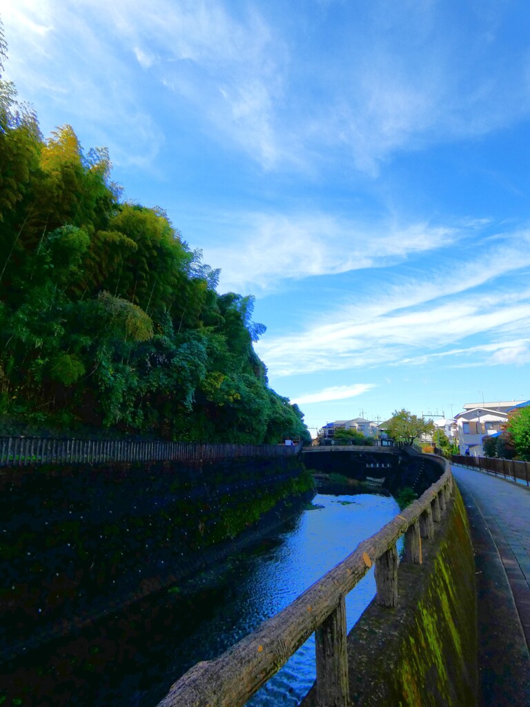 久しぶりの快晴