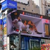 新宿東口の猫交番