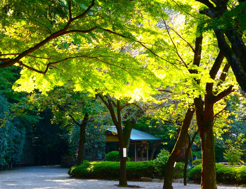 神池庭園