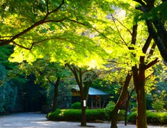 神池庭園
