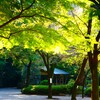 神池庭園