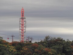 色づき始めた「よみうりランド」の森