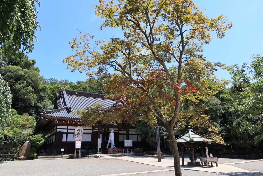 法要中