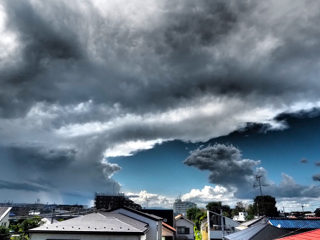 遣らずの雲