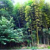 伸びすぎて