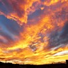 十年に一度の大炎上
