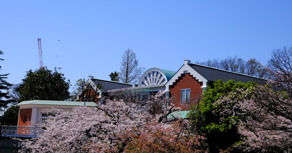 大佛次郎記念館