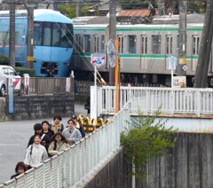 専修大学生
