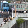 専修大学生