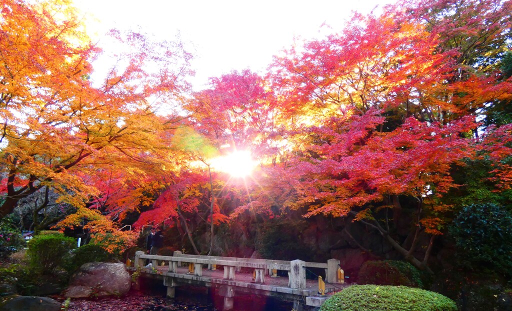 日本庭園