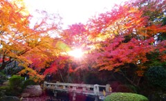 日本庭園