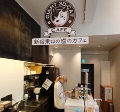 アイスコーヒー一択