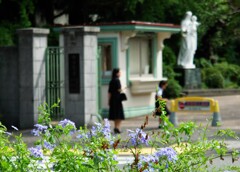 横濱雙葉学園