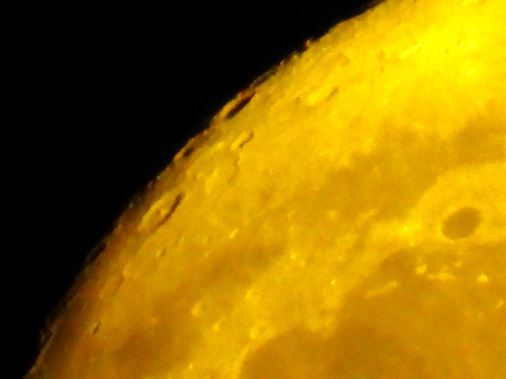 12000㎜