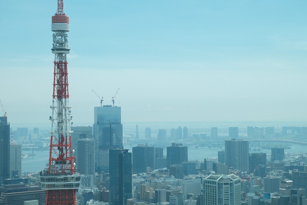 東京タワーⅢ