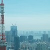 東京タワーⅢ