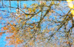 川面の紅葉