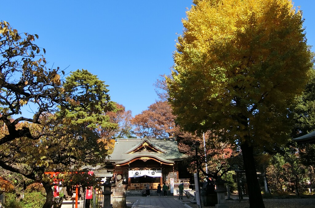 『VIVANT』のロケ地