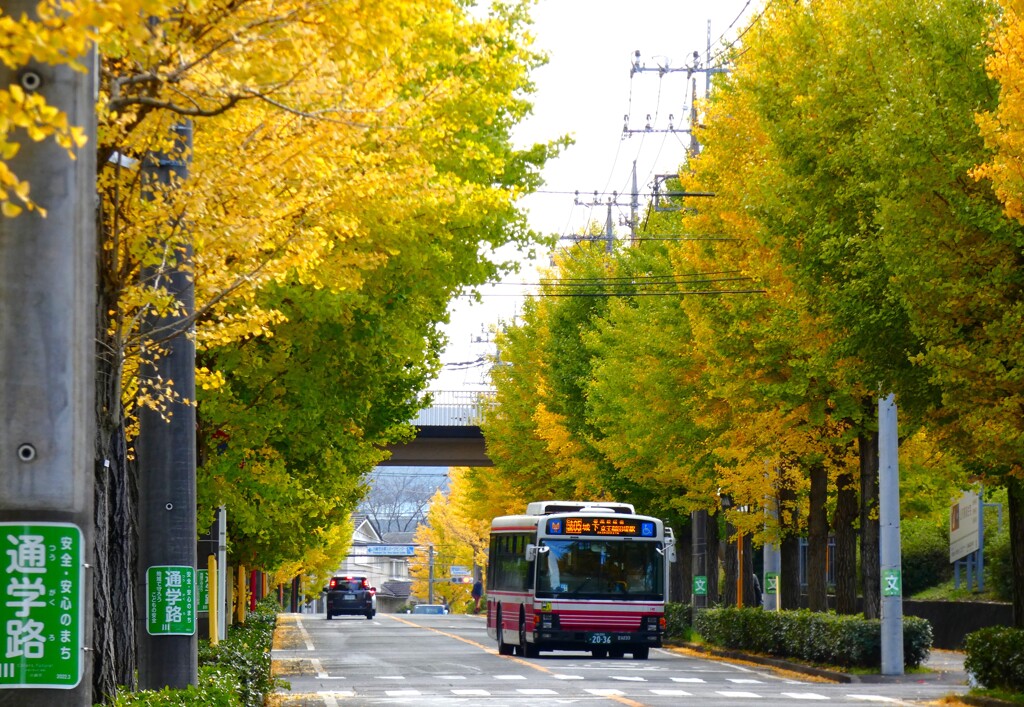 日テレ生田スタジオ坂