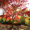 ニコン D5500+10-20㎜ F4.5/5.6G VR