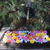 穴澤天神社