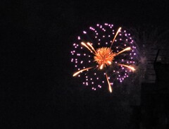 Yuming 50th Anniversary 〜真夏の夜の夢〜