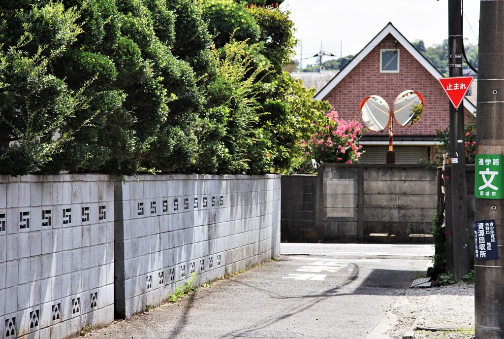 路地