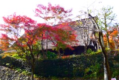 川崎市立日本民家園