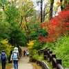 専修大学方面へ