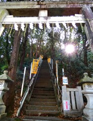 すでに病院へ7回
