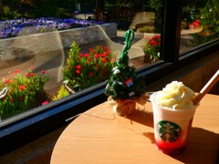 スタバで一息