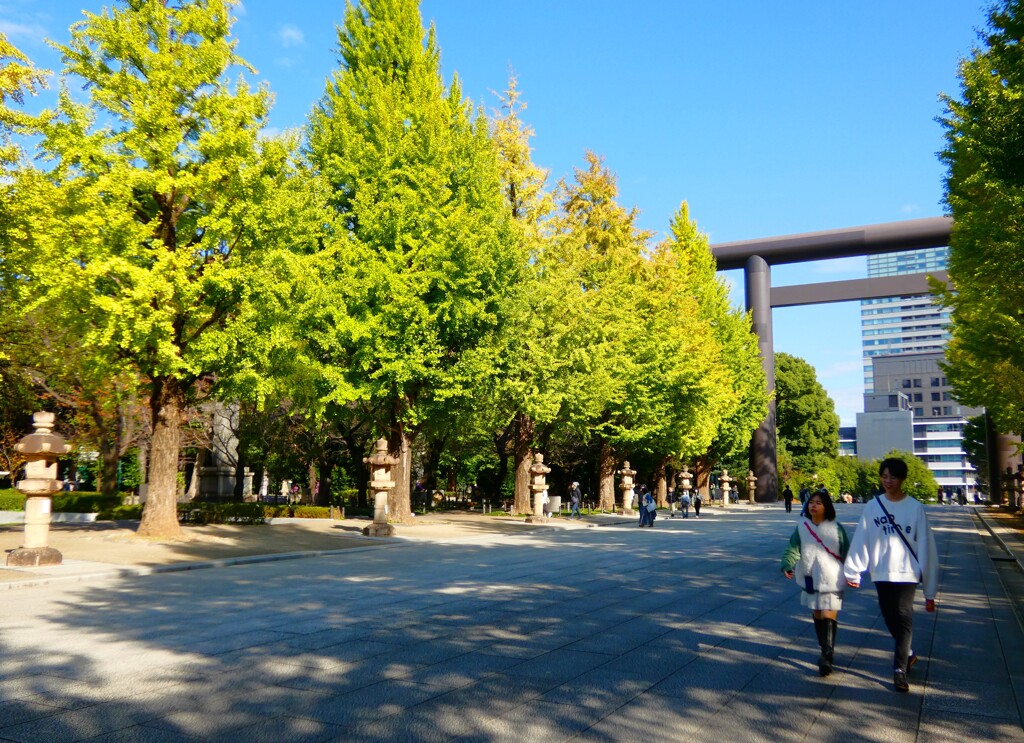 10日後が見頃