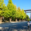10日後が見頃