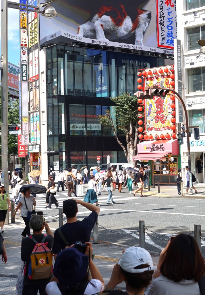 頭隠して