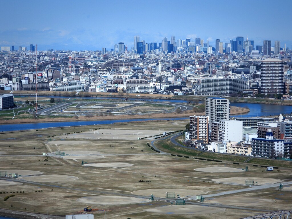 川崎競馬場　練習馬場