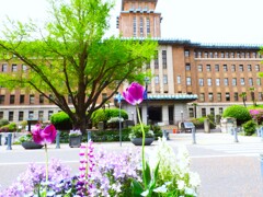 神奈川県庁本館