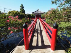 高源院の弁天社