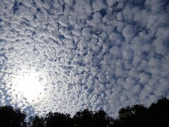 鱗雲の日