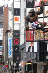 このゴリラは有名