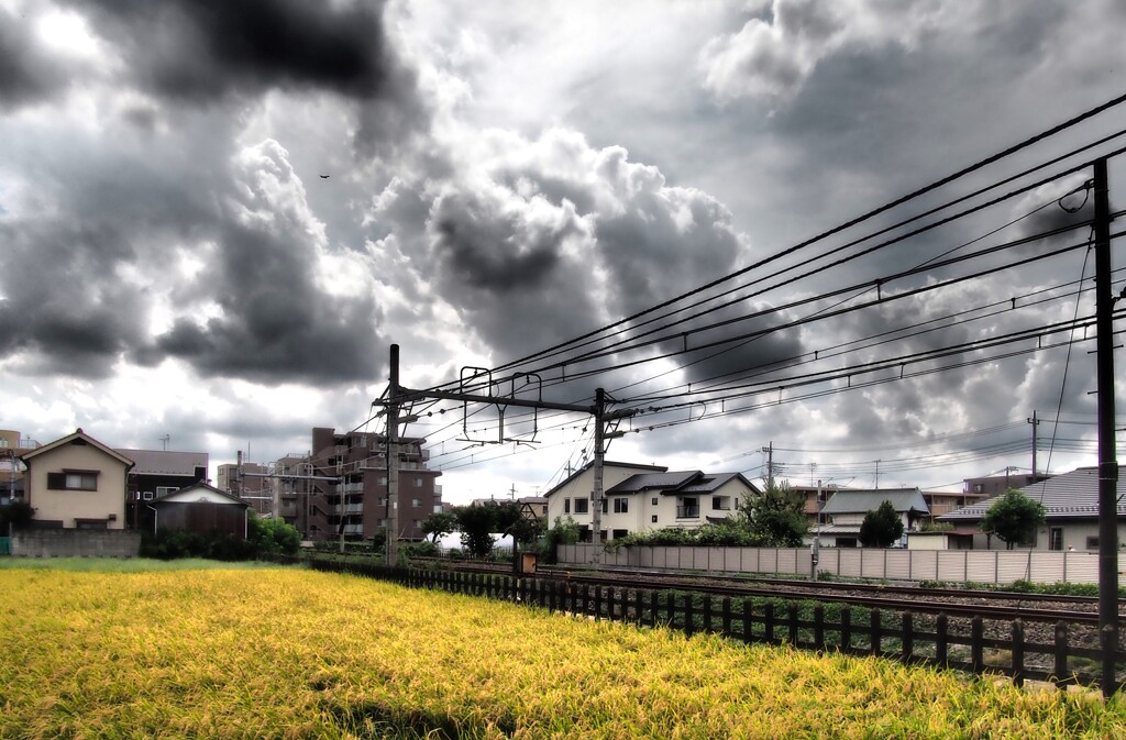 午後からゲリラ豪雨
