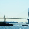 京浜運河のきらめき