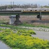 多摩川橋梁