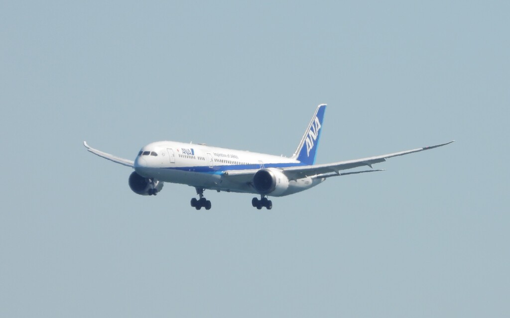 ANAランディングⅠ