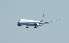 ANAランディングⅠ