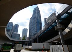 ムシムシ新宿駅西口地下