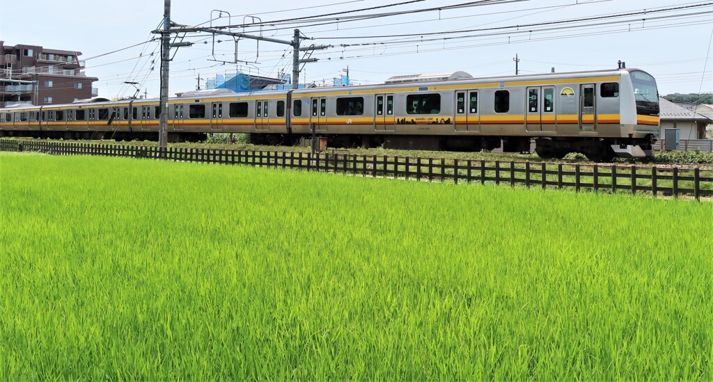 JR南武線と早稲田