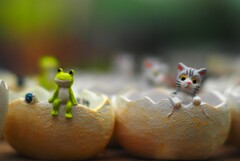 ボケ味！